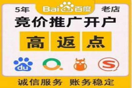 百度竞价赚钱之道：案例分析及技巧